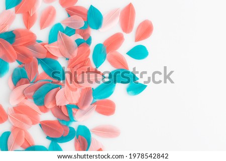Coral and turquoise feathers on a white background