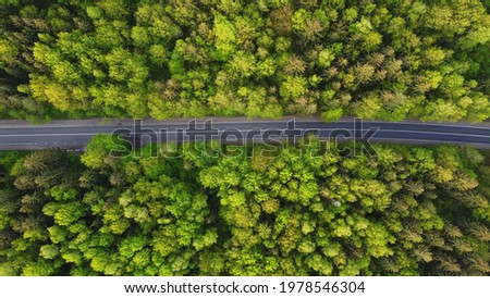 Top down aerial view of a straight road among green forest trees. Transportation and natural scenery background  Royalty-Free Stock Photo #1978546304