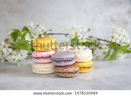 Several macaroon cakes decorated with cherry blossoms on a gray background. Food background, design, copy space for text.