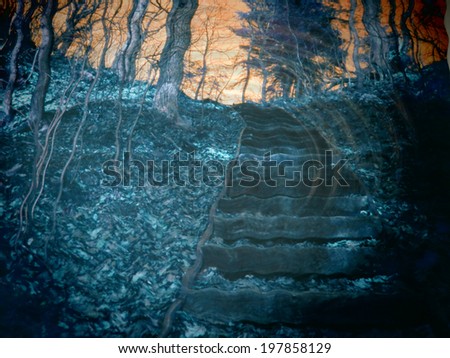 An abstract digitally altered photo of a stairway in the woods. 