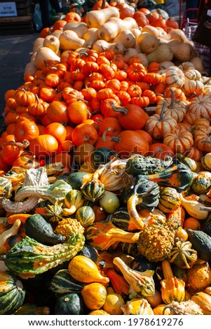 A variety of squash at street vendor food stand
