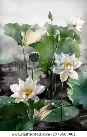 Beautiful white lotus flower in the lake