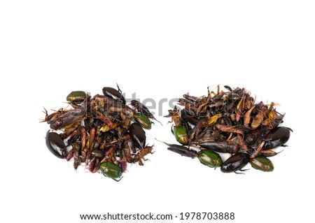 Fried insects isolated on white background.Protein rich food.