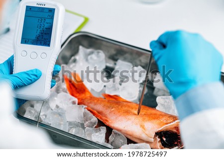 Food quality control inspection of sea fish - Measuring concentrations of heavy metals, searching for the presence of lead, mercury, cadmium. Royalty-Free Stock Photo #1978725497