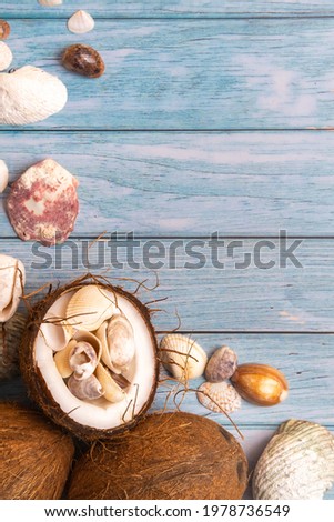 coconuts and seashells on a blue wooden background .Marine theme.