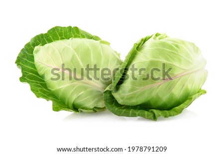 pointed cabbage isolated on white background Royalty-Free Stock Photo #1978791209