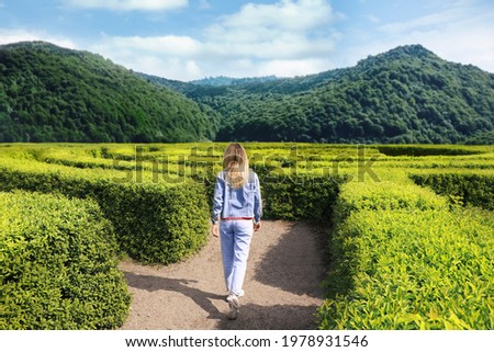 Young woman in hedge maze on sunny day, back view Royalty-Free Stock Photo #1978931546