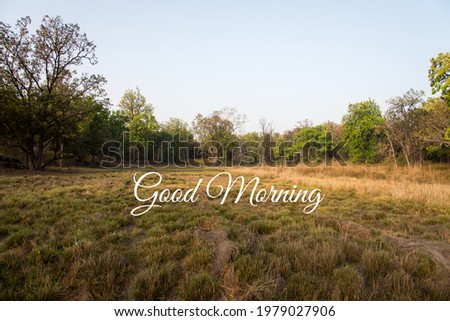 Good Morning message or concept on a sunny morning background.