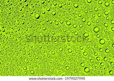 Rain window background. Water drops background. Wet glass surface texture. Bubble dew pattern. Transparent window green raindrops. Bright white environment condensation texture.