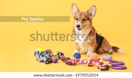 Text "Pet supplies" and cute dog with toys on color background Royalty-Free Stock Photo #1979052014