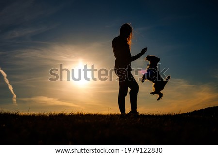 Silhouette of a woman playing with her fox terrier dog
