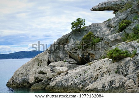 Big stone by the sea with green trees