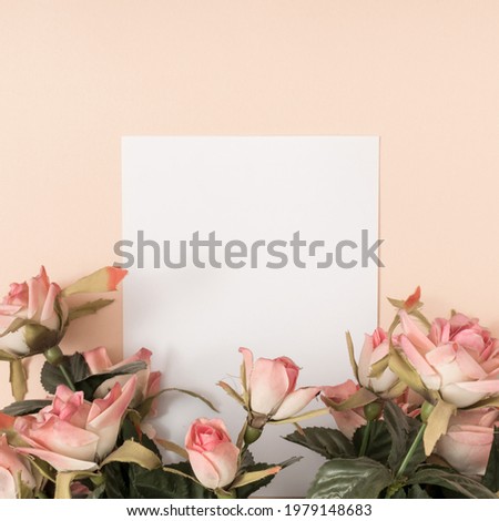 White pale pink roses on beige backgrounds with frame. Romantic flower summer concept with copy space.
