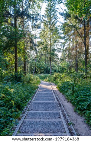tourism pathway in the summer green park with gravel, wooden rails and trees. relaxation in nature