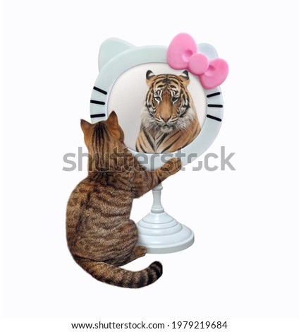 A beige cat looks in a funny round mirror. He sees a tiger there. White background. Isolated.