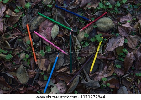 Colored pencils randomly placed on the autumnal ground