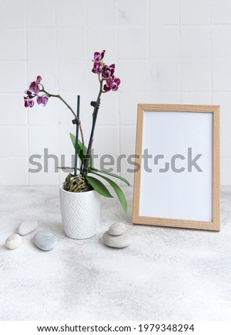 Closeup of purple phalaenopsis orchid in pot  and mock up poster frame on the table
