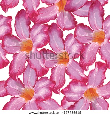 Desert Rose pink flower. Seamless pattern. Sketch on a white background. vector