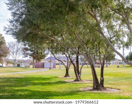 Sunny view of the Hayley Hendricks Park at Henderson, Nevada Royalty-Free Stock Photo #1979366612