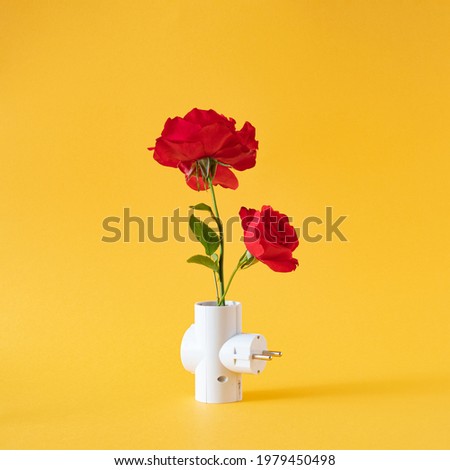 fresh apple red roses with power plug on the summer yellow background. gardening abstract art. minimal creative decoration idea.