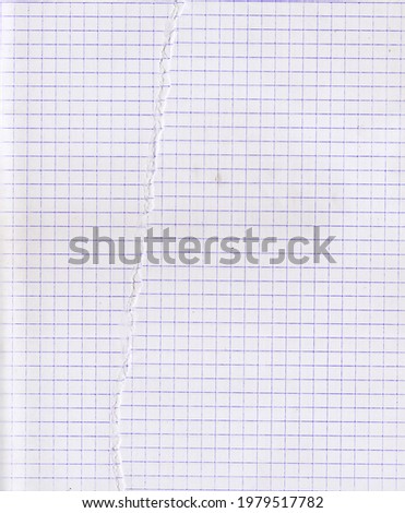 Math Grid Texture Torn Paper