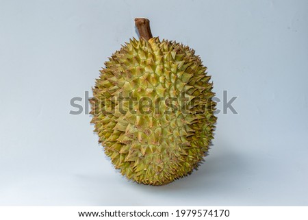 Durian fruit has spiky thorn on white background
