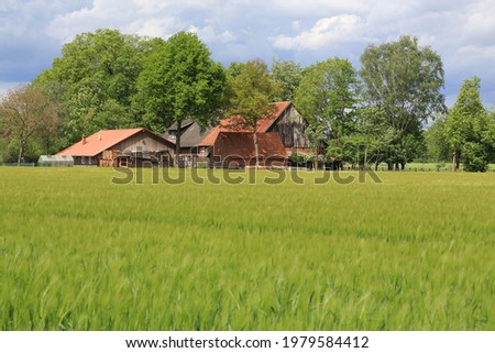 Farm and agriculture in Münsterland, North Rhine-Westphalia, Germany Royalty-Free Stock Photo #1979584412