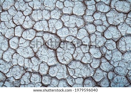 Cracked land texture. Beautiful nature background for your project