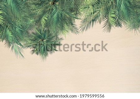 Top and aerial view on tropical sand beach, palm tree. Copy space. Drone photo. Background