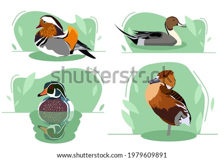 set of vector ducks on the water, vector illustration with vector ducks on the water