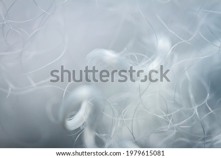 Extreme macro of polyester stable fiber. Selective focus, shallow depth of field. Royalty-Free Stock Photo #1979615081