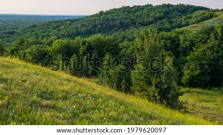 grassy meadows and deciduous forests in a hilly area, rural landscape. Summer season, June, Ukraine. Europe. Web banner.