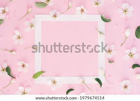 White frame with flowers and leaves of apple tree on pink background.