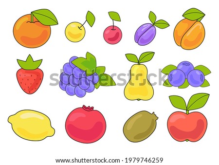 Set fruits and berries. Vector simple clipart cartoon lemon, apple, orange, pear, strawberry, plum, apricot, garnet, kiwi, blueberries, cherries, grape. 