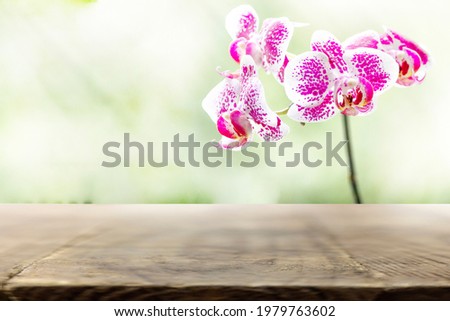 Summer. Floral summer background with wooden backdrop. Copy space