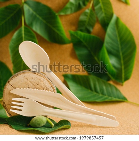 Eco-friendly disposable kitchen utensils stand on a tree cut . A wooden spoon, fork, and knife are balanced on a tree. Ecology, the concept of zero waste. Rejection of plastic.