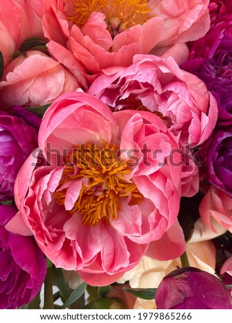 Fresh natural pink and purple peonies bouquet in floral shop. Spring floral background