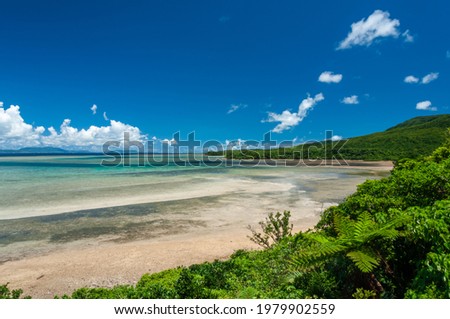 Lush hillside of Iriomote island, gradient blue sea, blue sky, scattered clouds, green coastal vegetation. Royalty-Free Stock Photo #1979902559