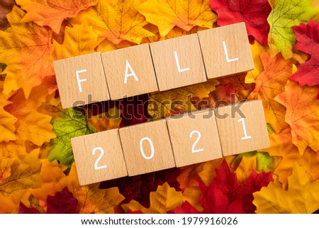 FALL 2021; Wooden blocks with "FALL 2021"  text of concept and autumn leaves. Royalty-Free Stock Photo #1979916026