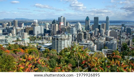 montreal skyline in a beautiful summer light from the Mont-Royal