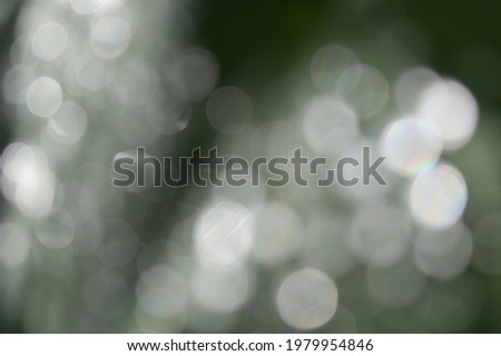 Abstract background. Beautiful bokeh with a green tint.