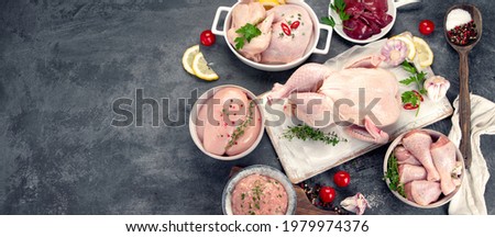 Raw chicken meat parts with spices and herbs for cooking on dark background. Top view, copy space.  Panorama, banner Royalty-Free Stock Photo #1979974376