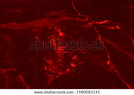 Dark red marble top-view texture background in seamless glitter pattern.