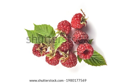 Raspberry with leaf on white background
