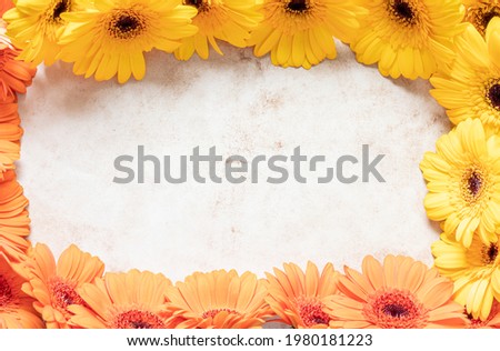 yellow gerbera flowers on old paper background
