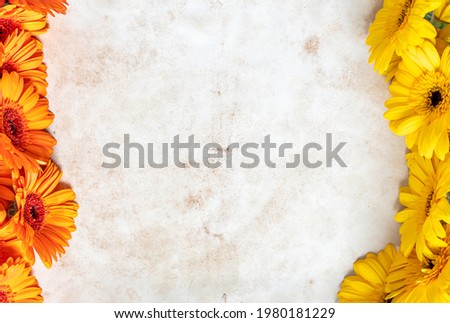yellow gerbera flowers on old paper background