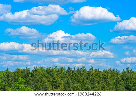 Tranquil landscape with treetops and blue sky with clouds. Coniferous forest. Background with empty place for text. Template for a conservation slide, cover or website.