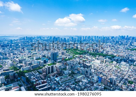 Aerial view of central Tokyo