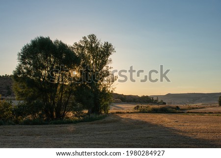 a sunset behind some trees in agricultural field