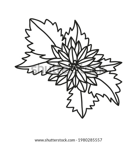 hand drawn style flowers design. Doodle floral design. vector illustration.
